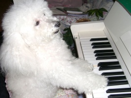 i like piano