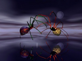 Dualing spiders