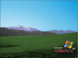 Windows on the Alps