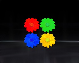 4-colour-flowers