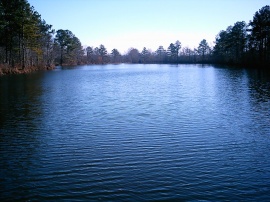 Wiggins Mill Lake (NC)