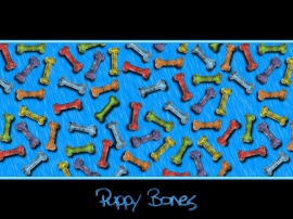 Puppy Bones