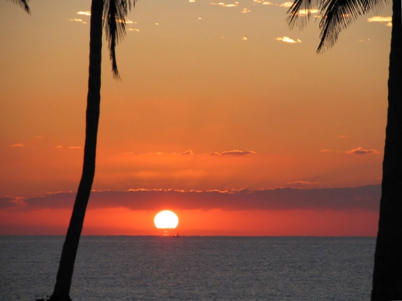 Florida Orange Sunrise