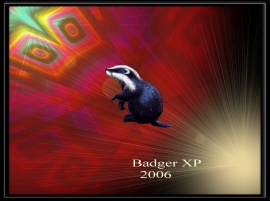 BadgerXP