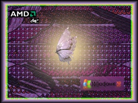 AMD64