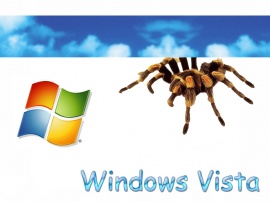 Windows Vista (TARANTULA)