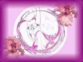 A pink round flower 2