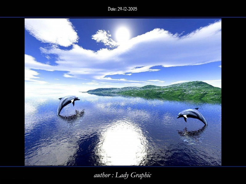 Two Dolphins and island
