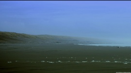 Dunes in the mist