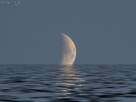 Ocean Moonset