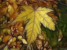 Fall End Leaf