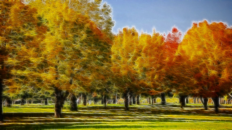 The park in Fall