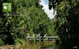 Jungle Fun Screensaver 