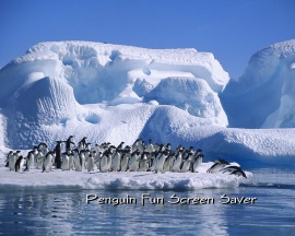 Penguin Fun & Snow ScSv