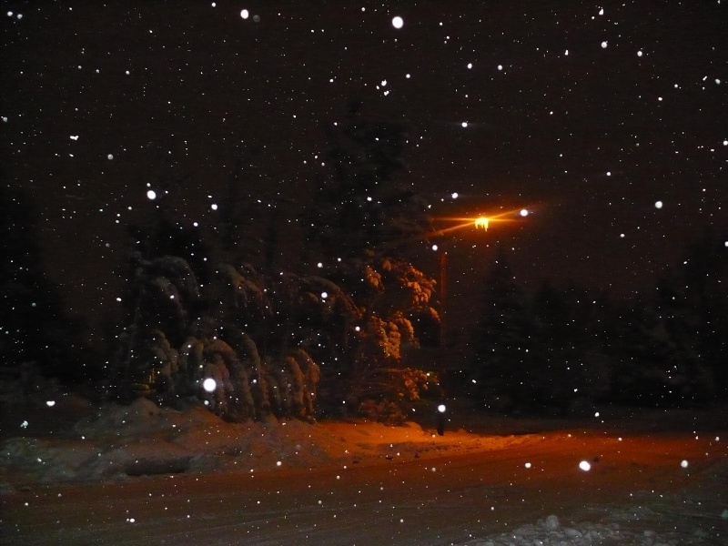Streetlight Snow at Night