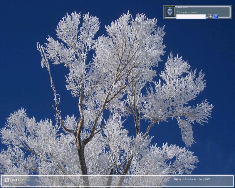 The Beauty of Frost