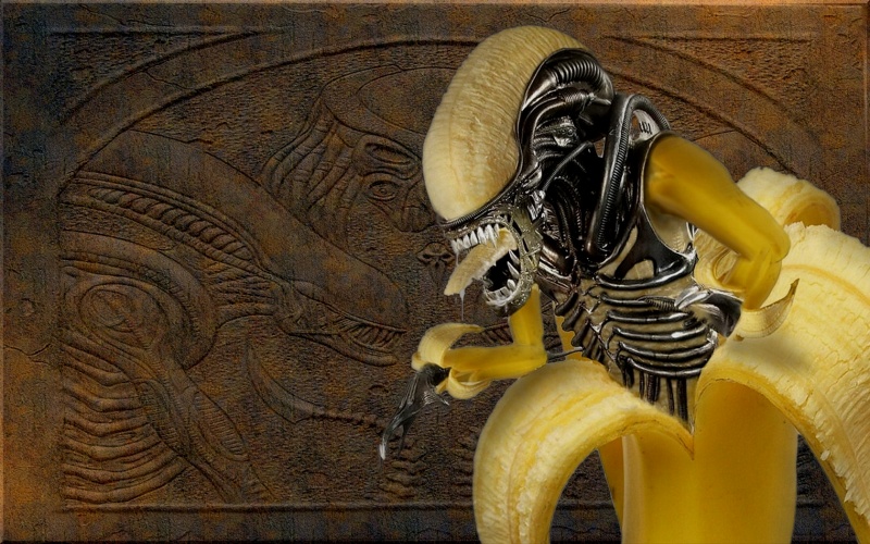 Alien Banana_vista