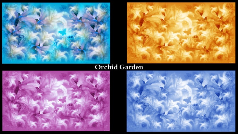 Orchid Garden Walls 4pk