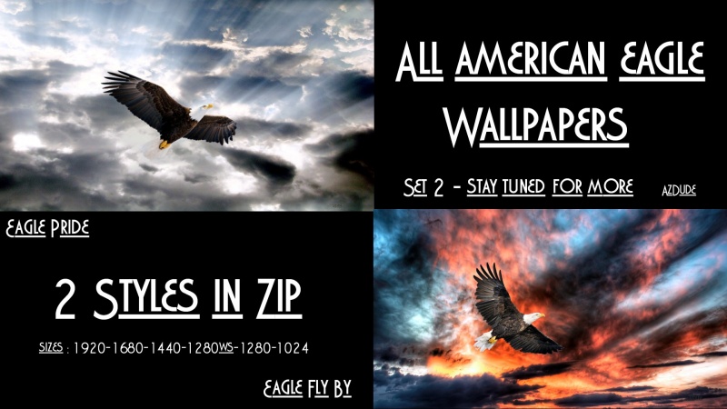 All American Eagle Walls  Set 2