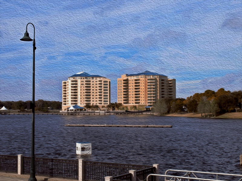 Cranes Roost in Oil