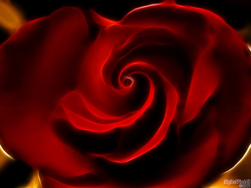 Rose Spin
