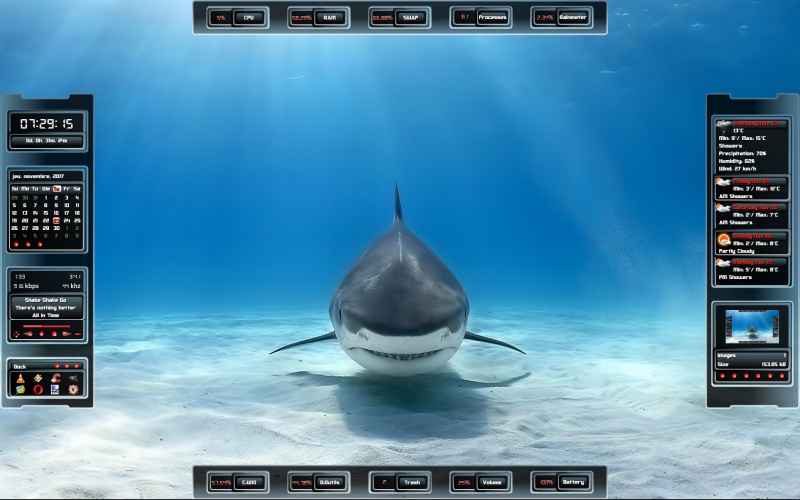 Shark(V1)