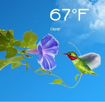 Animated Hummingbird Weather for Rainmeter
