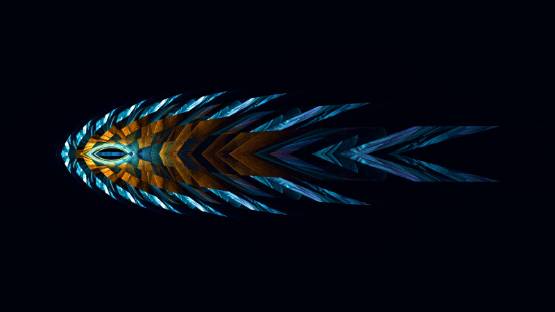 Fish symmetry