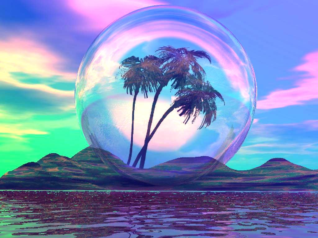 A Tropical Dream