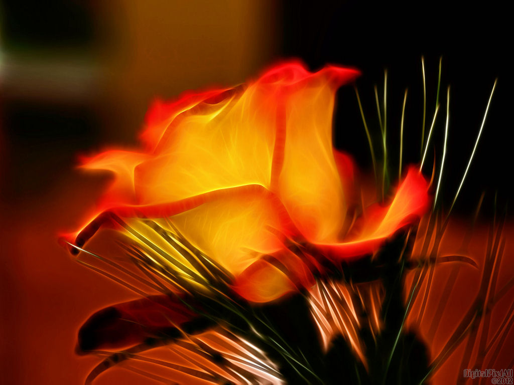 Decorous