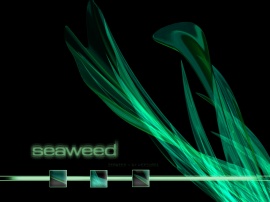 Seaweed by versiani