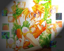 Orange Bunny Wallpaper