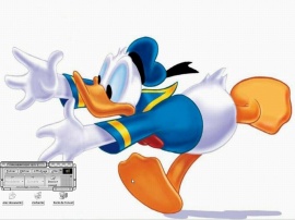 Neo Ducky