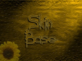 Skin Base