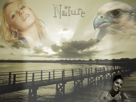 Nature1