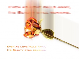 As Love Falls