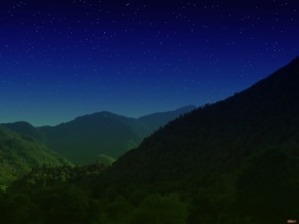A Green Valley Night