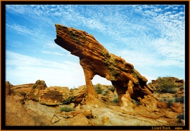 Lizard Rock
