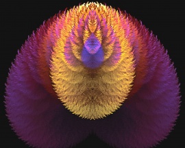 Fuzzy Wazzy