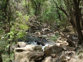 tapalpa river