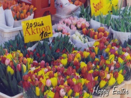 Austrian Easter Flowers