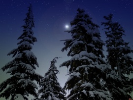 Winters night light