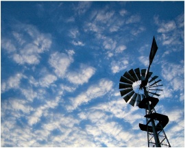 Little Windmill