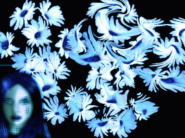 blue flowers..