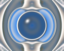Wisdom´s Vision