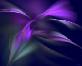 Purple Daze
