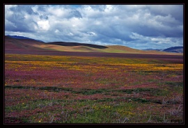 Early Spring - Hwy 166