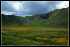 Carrizo Plain