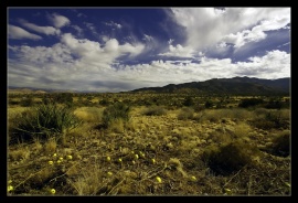 Wide Open Spaces