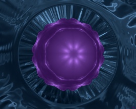 Particle